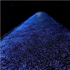 夜光步道