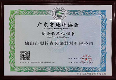 广东省地坪协会副会长单位证书